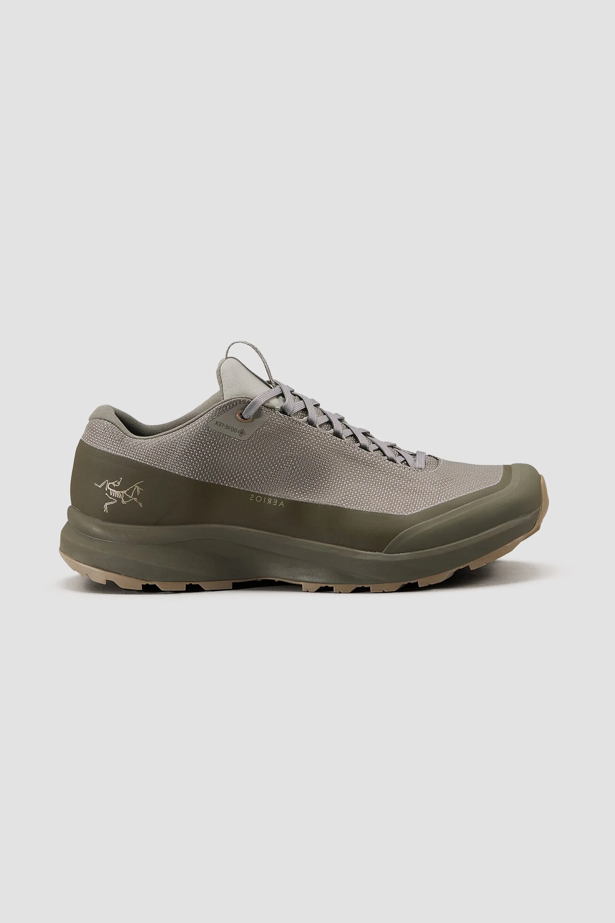 Arc'teryx Men's Aerios FL 2 GTX Shoe - Forage/Tatsu