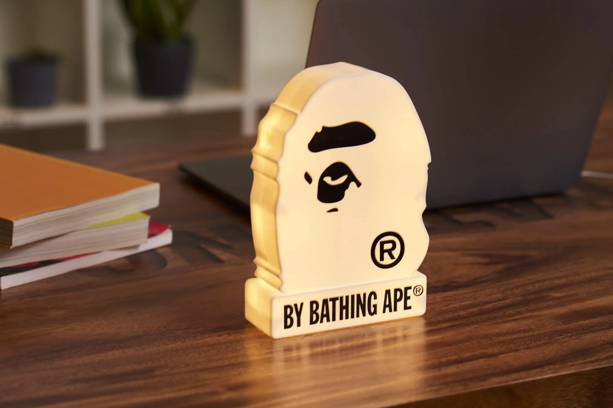 Bape A BATHING APE 2023 SPRING/SUMMER COLLECTION book