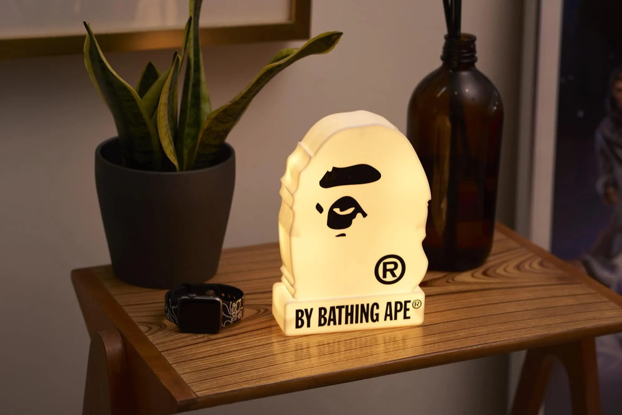 Bape A BATHING APE 2023 SPRING/SUMMER COLLECTION book