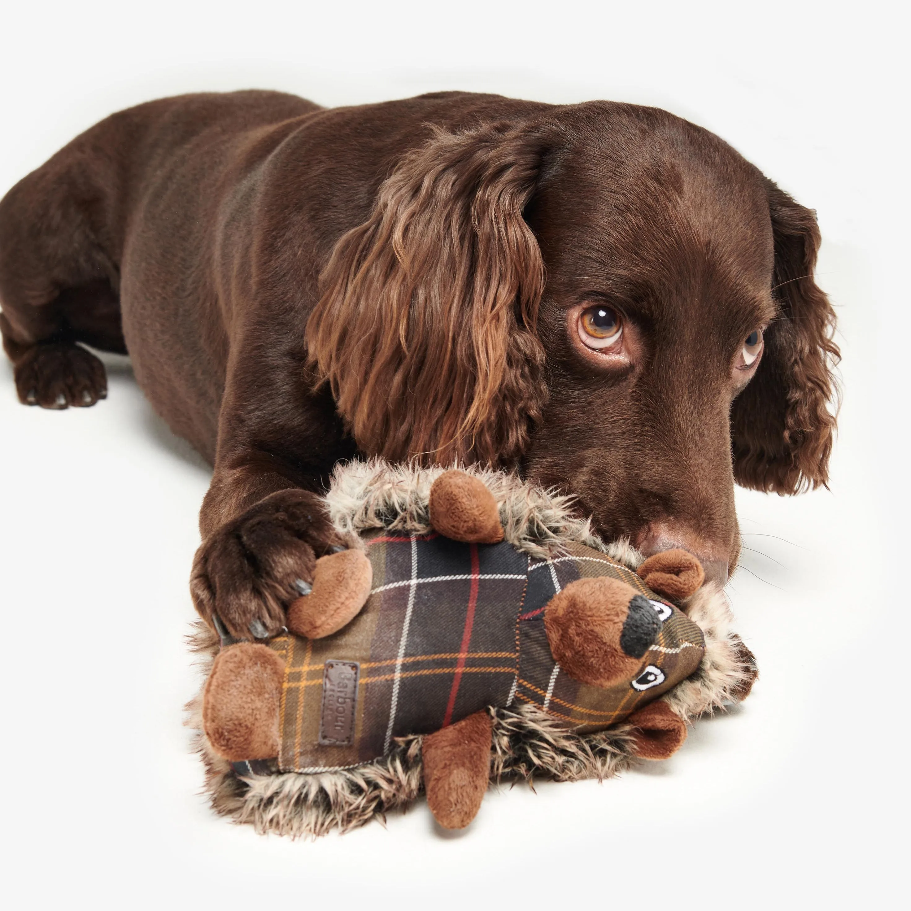 Barbour Dog Hedgehog Toy - Tartan Design