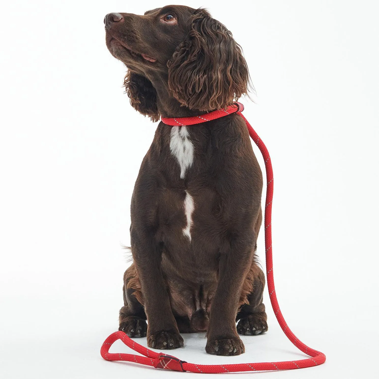 Barbour Red Reflective Slip Dog Lead