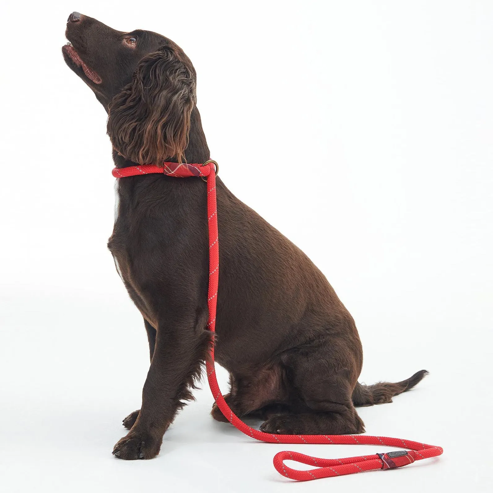 Barbour Red Reflective Slip Dog Lead