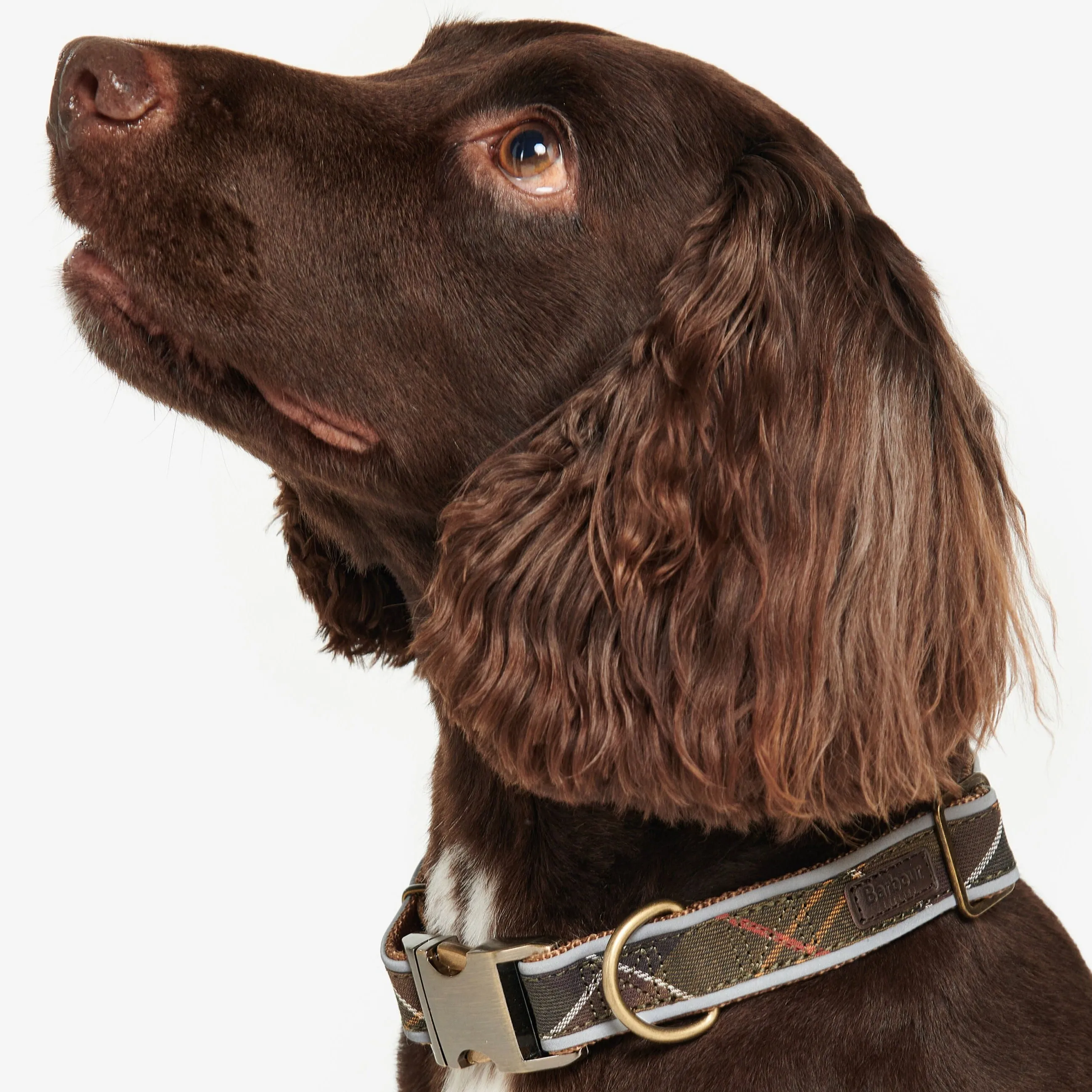 Barbour Reflective Dog Collar, Classic Tartan - Shop Now