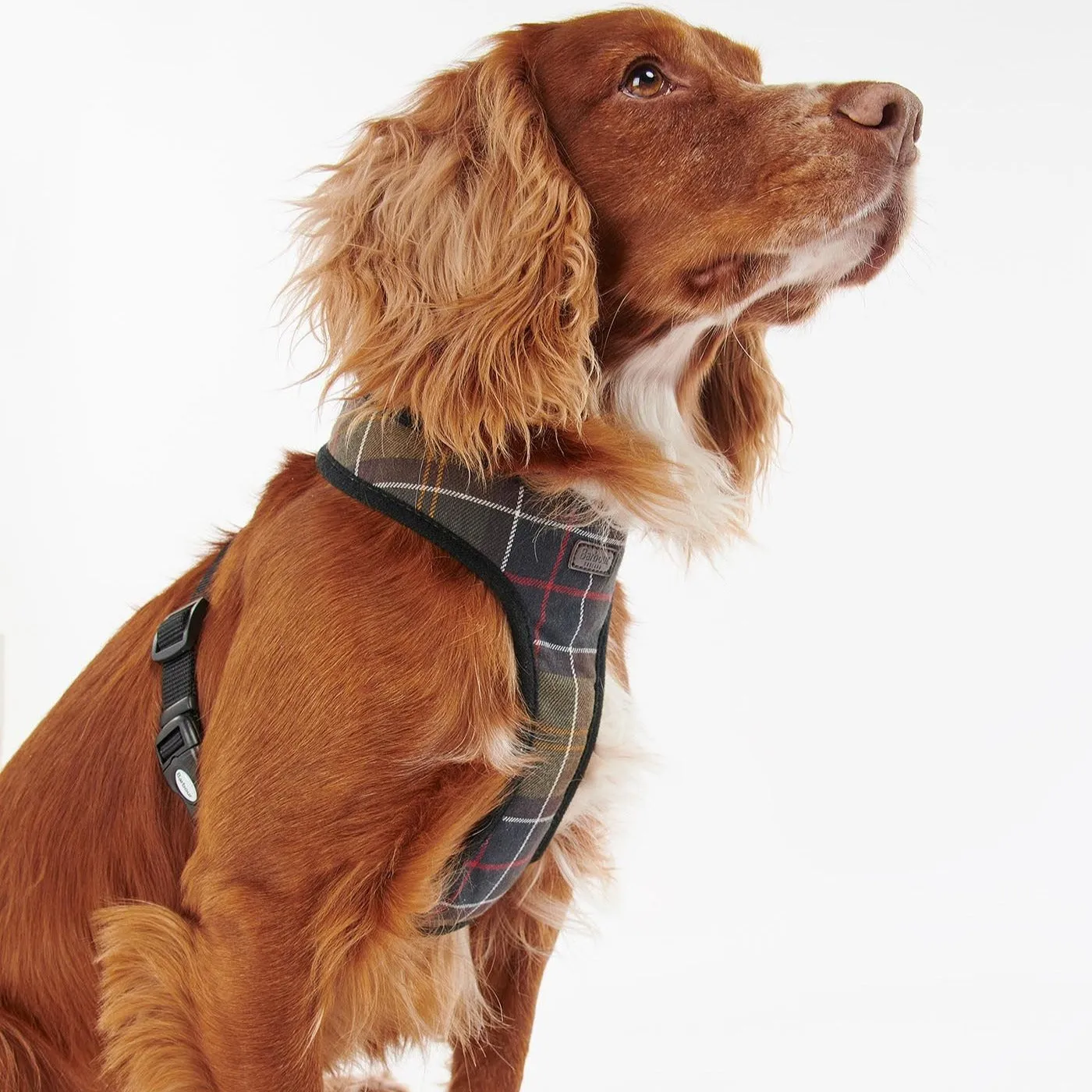 Classic Tartan Barbour Dog Harness