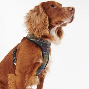 Classic Tartan Barbour Dog Harness