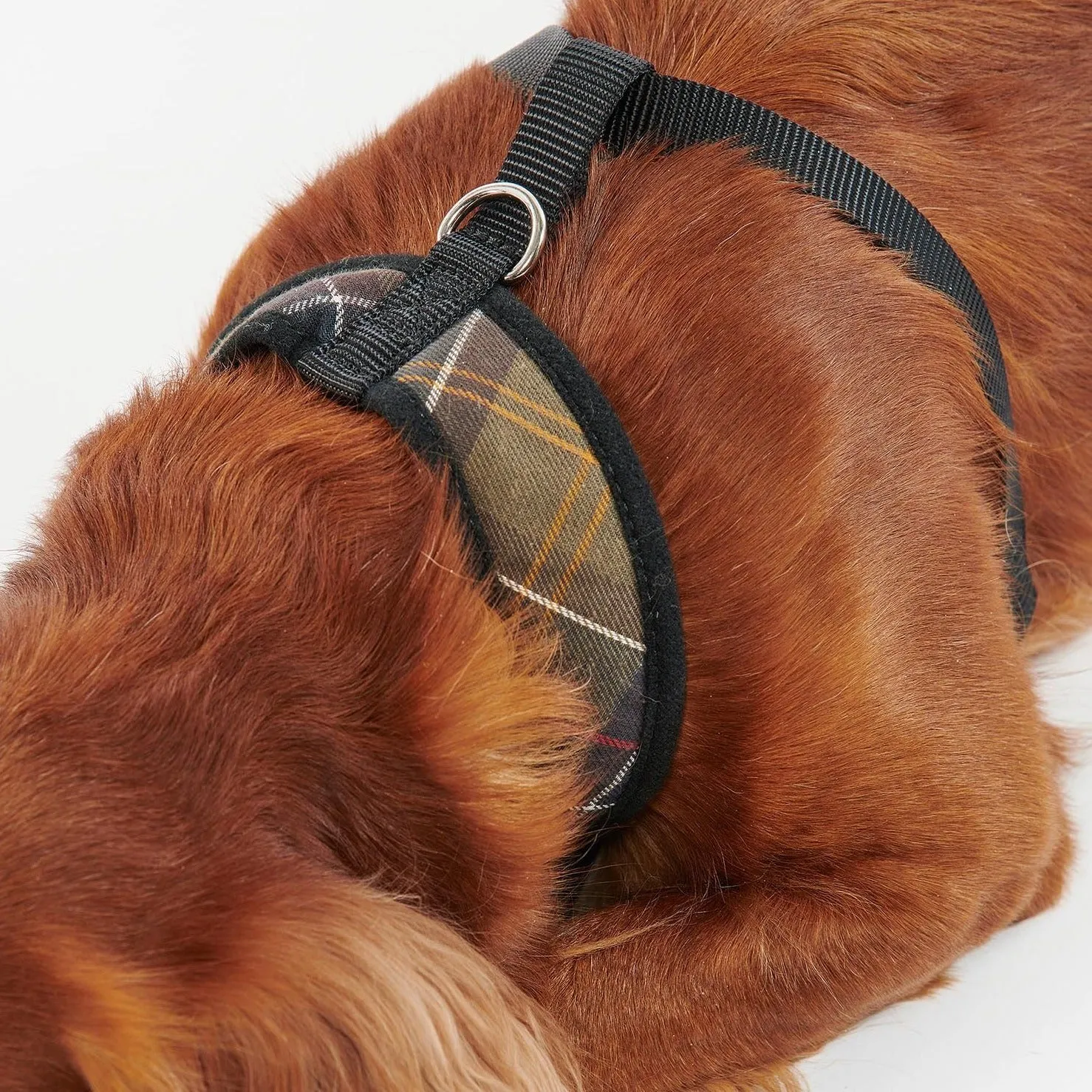 Classic Tartan Barbour Dog Harness