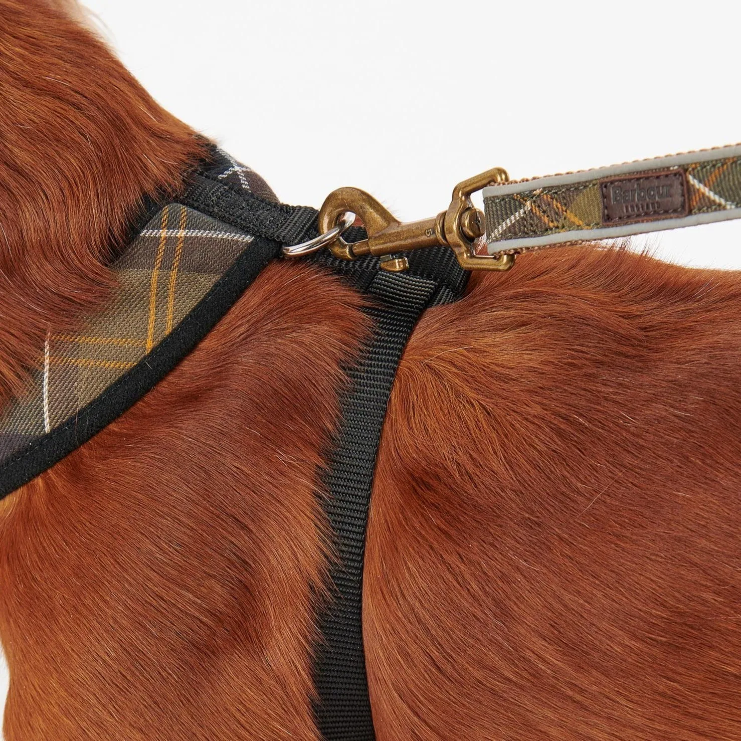 Classic Tartan Barbour Dog Harness