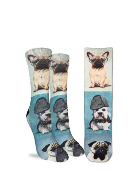 Dogs socks