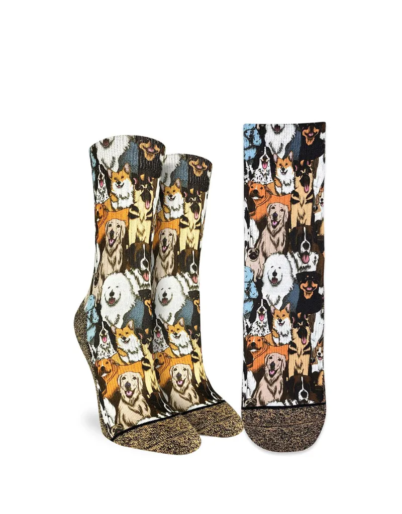 Dogs that enjoy socializing and being active wear trendy socks