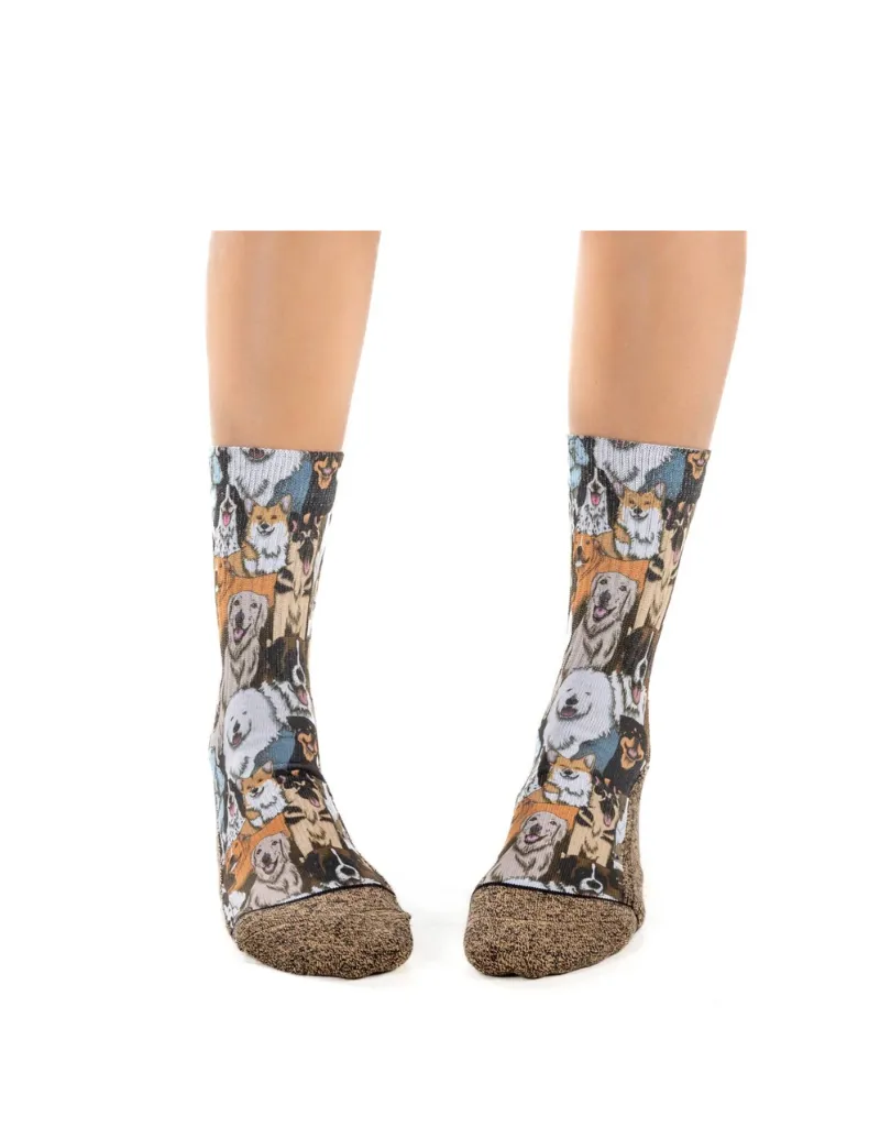 Dogs that enjoy socializing and being active wear trendy socks