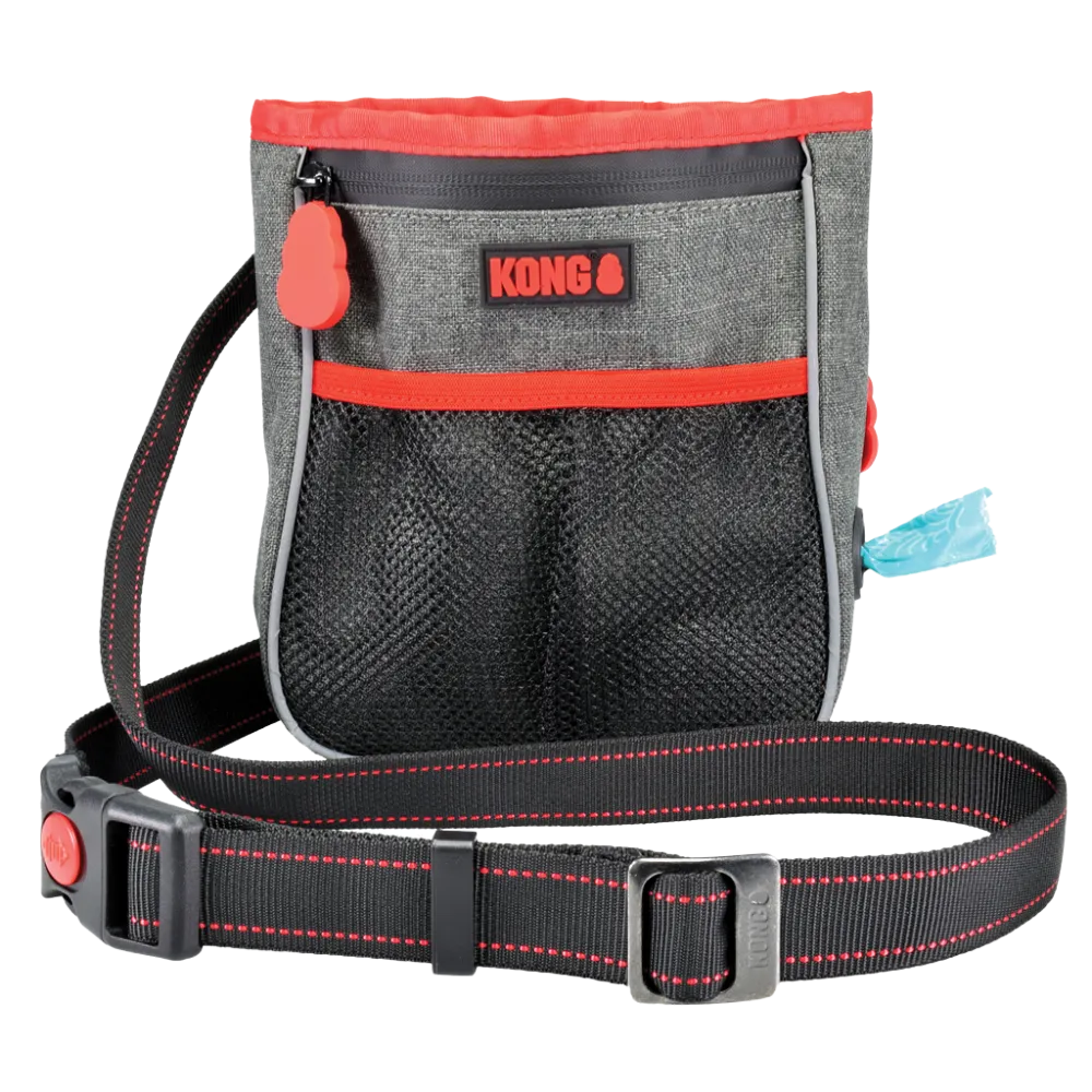 KONG Outdoor Backpack