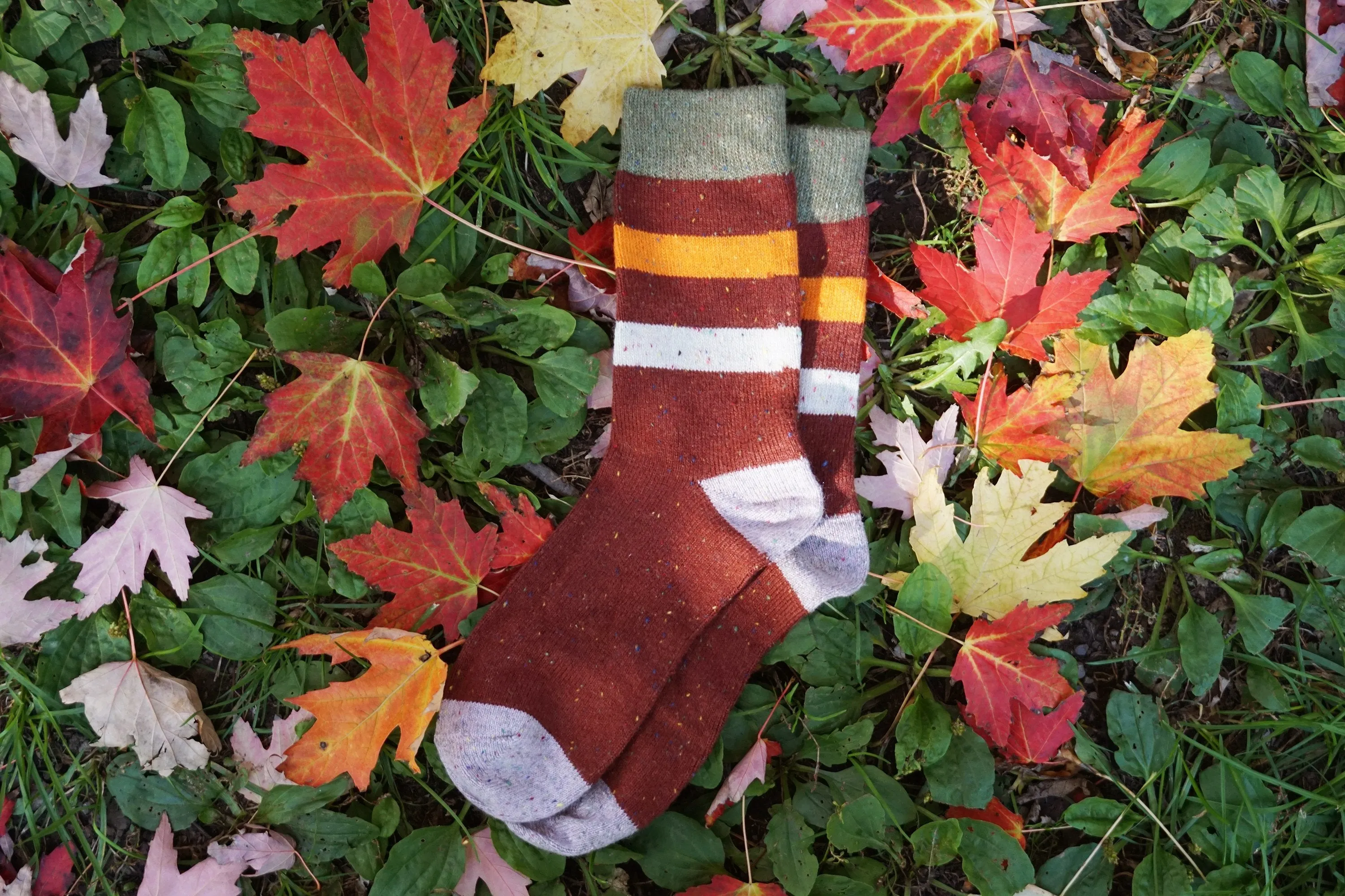 Top Selling | Red Striped Wool Socks