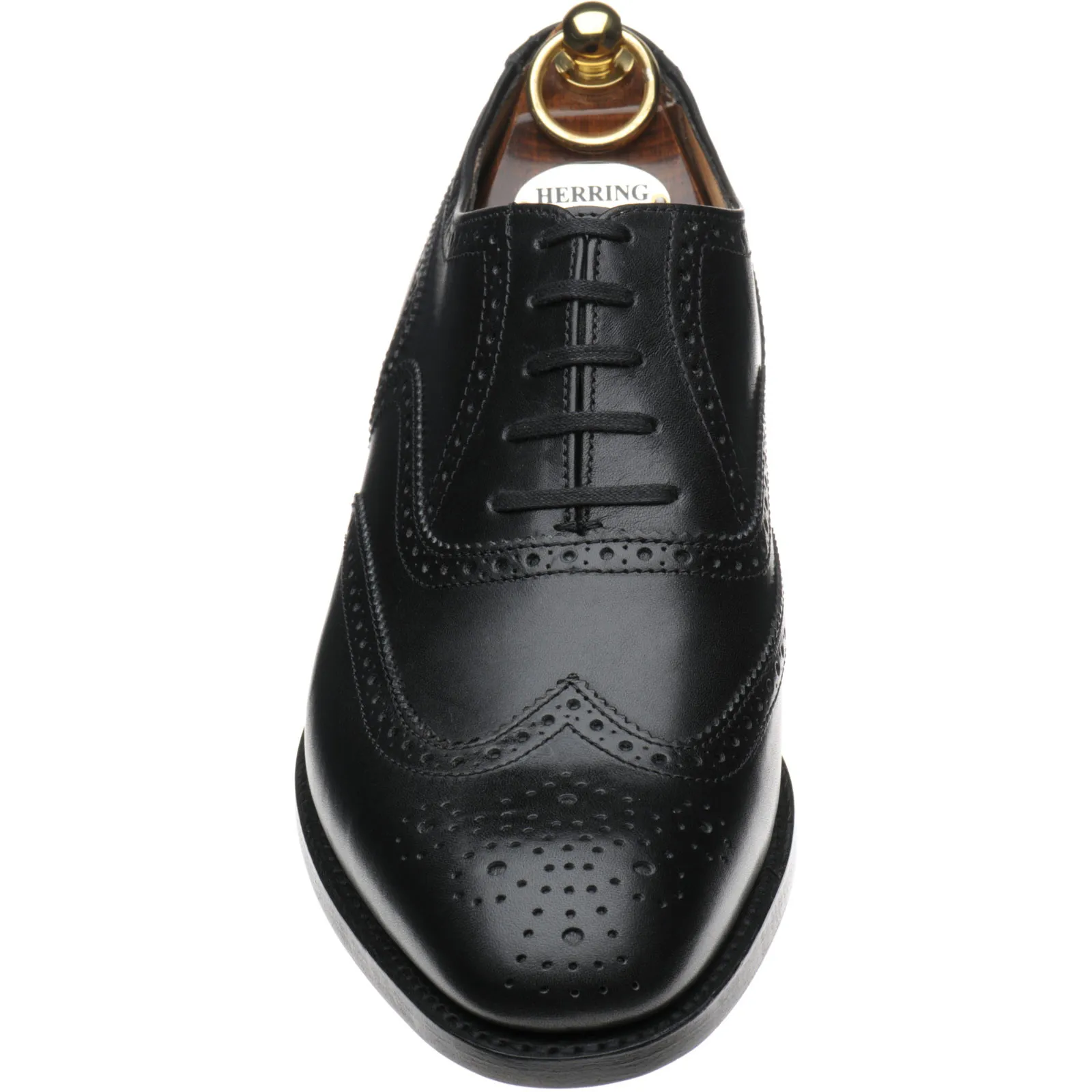 Trent brogues